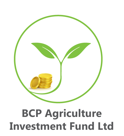 BCP